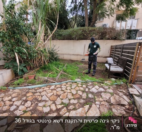 אדם בגינה עם כלי גינון, צמחים ועציצים